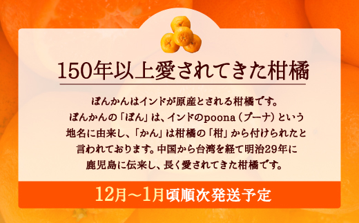 AA076.ぽんかん（5kg程度）／2024年12月～2025年1月配送予定