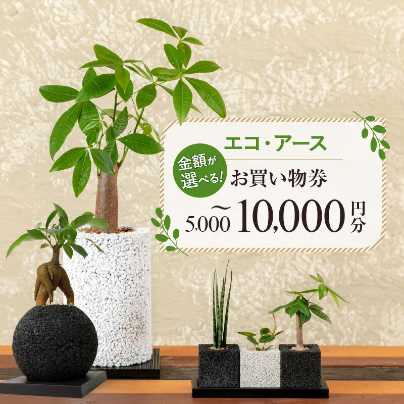 【ふるさと納税】エコアース お買い物券 選べる 金額 5000円分 ～ 10000円分 環境に優しい 植物付き 器 エコポチ 見た目 癒やし 空間 消臭効果 インテリアグリーン 水苔 ガジュマル サンスベリア パキラ オンリーワン インテリア チケット 熊本県 天草市 送料無料