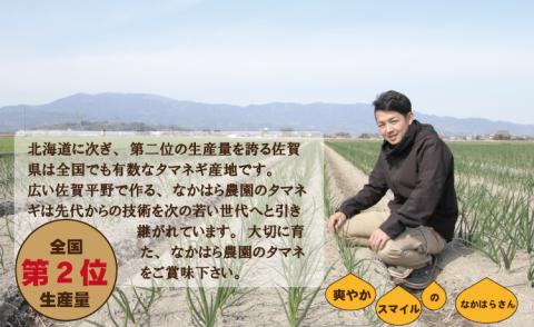 タマネギ（新玉ねぎ）なかはら農園 （10kg）サイズ2L～Mサイズ （たまねぎ、玉葱）　野菜 根菜 オニオン 九州 佐賀 サラダ マリネ 人気 ランキング 送料無料