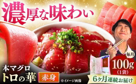 【全6回定期便】対馬産 本マグロ 赤身100g ≪対馬市≫【桐谷商店】 トロの華 対馬 新鮮 マグロ 赤身 鮪 刺身 [WAQ109]