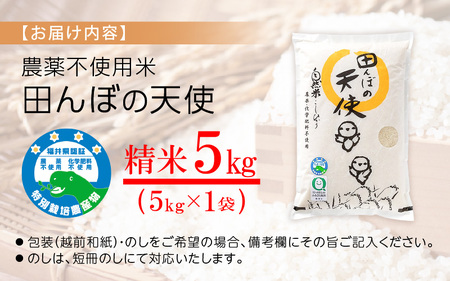 【令和7年産】農薬不使用 特別栽培米コシヒカリ5kg【精米】 福井県認証区分1取得「田んぼの天使」越前町【農薬化学肥料不使用】 [e10-b008]