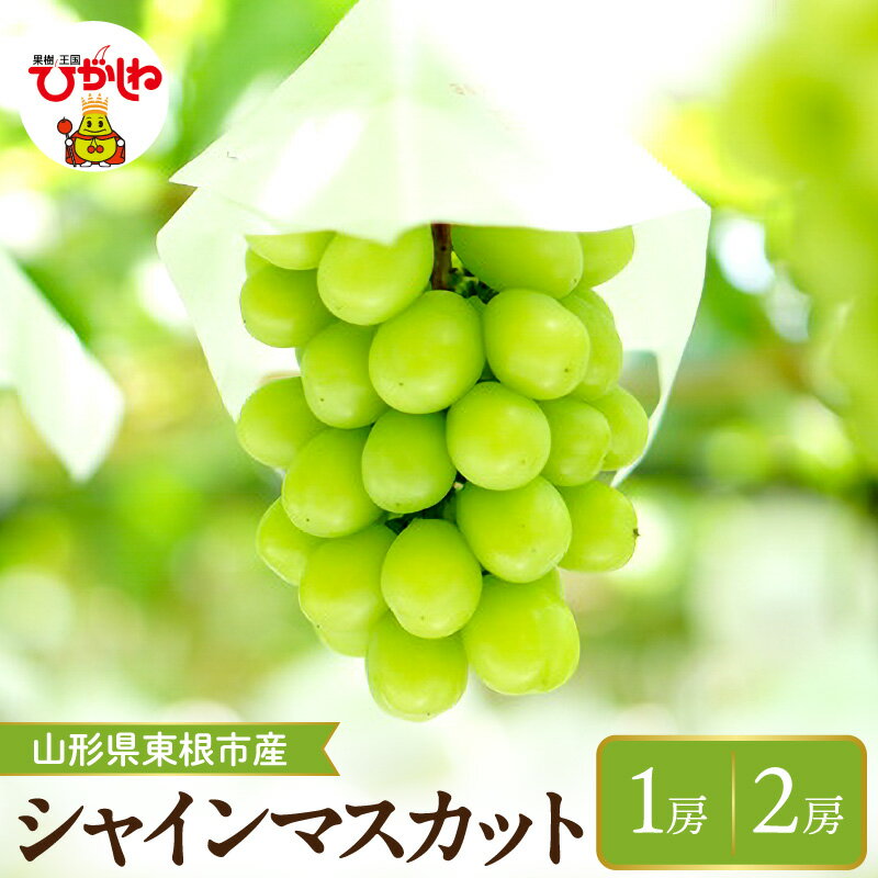 【ふるさと納税】2026年 先行予約 ぶどう シャインマスカット 【内容量が選べる】 約600g ( 1房入 ) / 約1.2kg ( 2房入 )| マスカット 1房 2房 フルーツ 果物 くだもの 産地直送 期間限定 特産品 お取り寄せ グルメ 旬 送料無料 東北 山形県 東根市