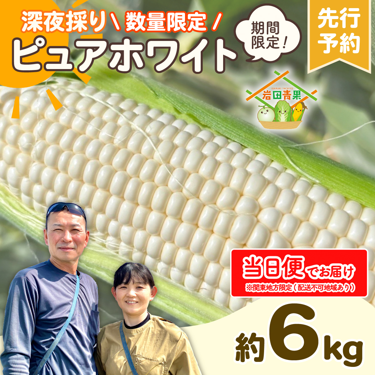 【関東+山梨県 限定当日便】【先行予約 2026年6月下旬以降発送 】 【 令和8年産 】 深夜採り 朝出荷 とうもろこし ピュアホワイト 約6kg トウモロコシ スイートコーン コーン 野菜 産地直送 期間限定 極甘 岩田さん 昼めし旅 甘い 生食 [AX068ya]