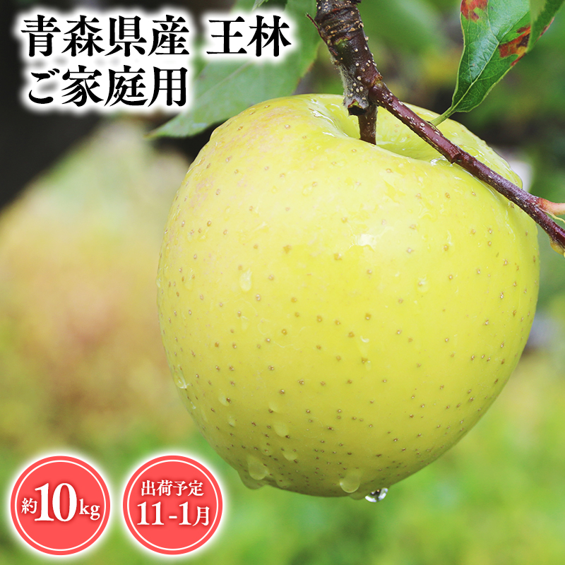 2026年産 １１月～１月発送　【訳あり】家庭用王林10kg【青森県 平川市 そと川りんご園】