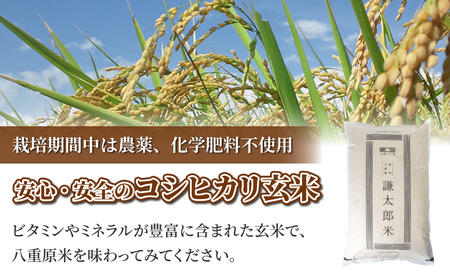 【太陽と大地】令和7年産「八重原産コシヒカリ玄米「極」（栽培期間中農薬化学肥料不使用）８kg」