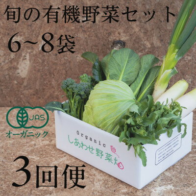 【ふるさと納税】【毎月定期便】しあわせ野菜畑の有機野菜　Sセット　(安心の有機JAS認証　オーガニック野菜)全3回【配送不可地域：離島・北海道・沖縄県・四国・九州】【4066005】