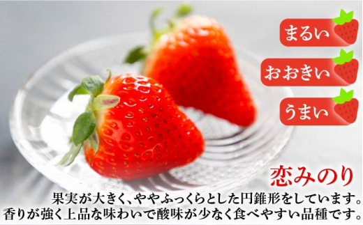ゆめ恋セット（ゆめのか・恋みのり）計1kg《壱岐市》【蒼花】[JEO001] いちご イチゴ 苺 フルーツ 果物 スムージー ジャム ゆめのか 恋みのり セット 食べ比べ 小分け パック 冷蔵 あまお