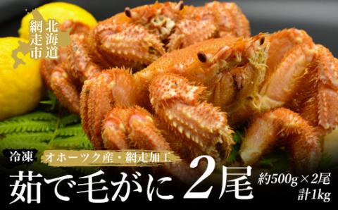 ＜オホーツク産＞茹で毛がに（冷凍）2尾（網走加工） ABAO2101