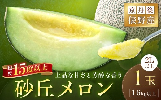 【先行予約】京丹後・俵野産 砂丘メロン 2L以上 1玉（2027年7月下旬～発送） 1.6kg以上 めろん 果物 くだもの フルーツ デザート 国産 青肉　IU00001