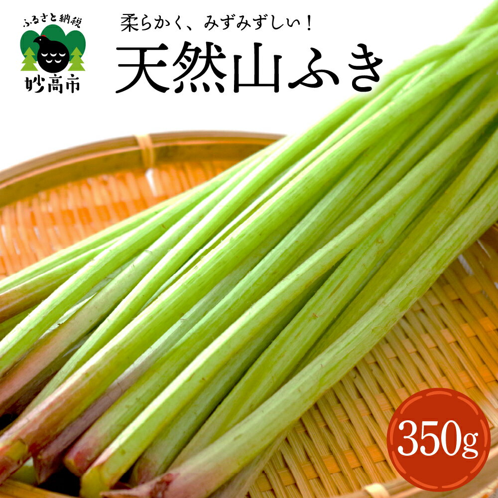 【ふるさと納税】天然 山ふき 350g 【5月上旬より発送】山菜 煮物 春の味覚 産地直送 国産 送料無料 新潟県 妙高市