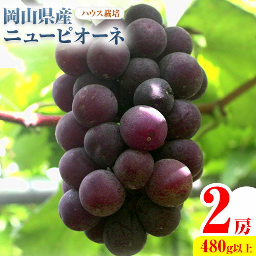 【ふるさと納税】【先行予約】 岡山県産 ニューピオーネ 2房 480g以上 ハウス栽培 葡萄 果物 厳選出荷 スイーツ フルーツ デザート 岡山県矢掛町《7月上旬-8月下旬に出荷予定(土日祝除く)》 種なしぶどう 【配送不可地域あり】