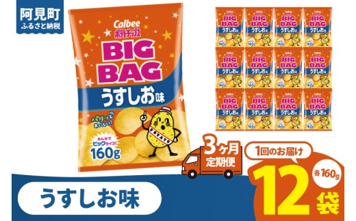 
            【3ヶ月定期便】カルビー ポテトチップス うすしお味 BIGBAG（160g）×12個｜Calbee お菓子 菓子 おやつ おかし ぽてち ポテチ スナック おつまみ ジャガイモ じゃがいも（93-56）
          