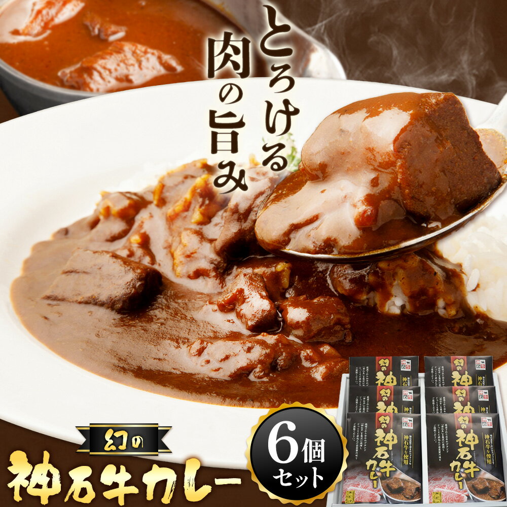 【ふるさと納税】カレー レトルト 牛肉カレー 神石牛 幻の神石牛カレー たっぷり 6個セット 1個200g 株式会社 帝釈峡スコラ《30日以内に出荷予定(土日祝除く)》広島県 神石高原町 和牛 牛 牛肉 カレー 即席 レトルト食品 簡単 贅沢カレー お取り寄せグルメ