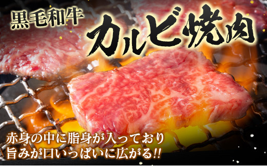 
宮崎県産黒毛和牛 カルビ焼肉500g＆戸村のたれセット【C410】
