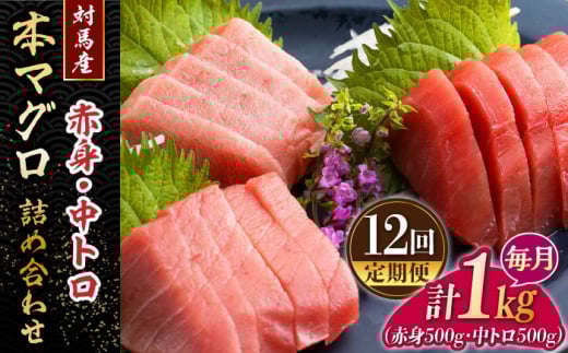 【全12回定期便】対馬産 本マグロ 1kg（赤身500g、中トロ500g） ≪対馬市≫【桐谷商店】 トロの華 対馬 新鮮 マグロ トロ 鮪 刺身 鮮度抜群 [WAQ054]