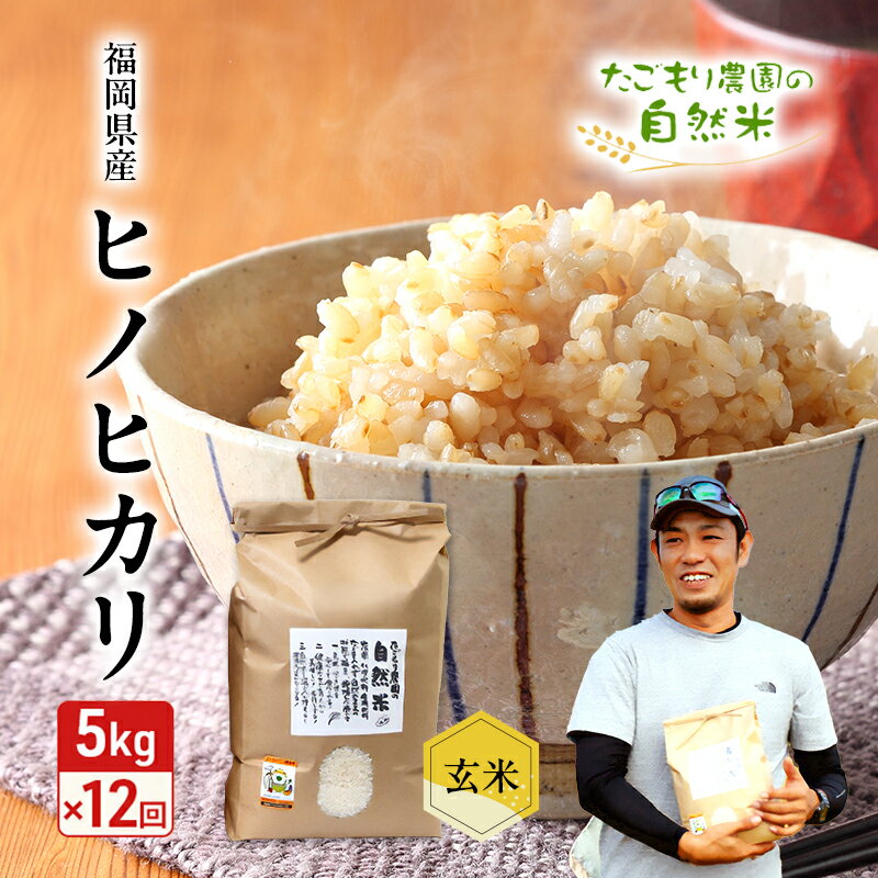 【ふるさと納税】定期便 12ヶ月 米 たごもり農園の自然米 ヒノヒカリ 玄米 5kg お米 12回