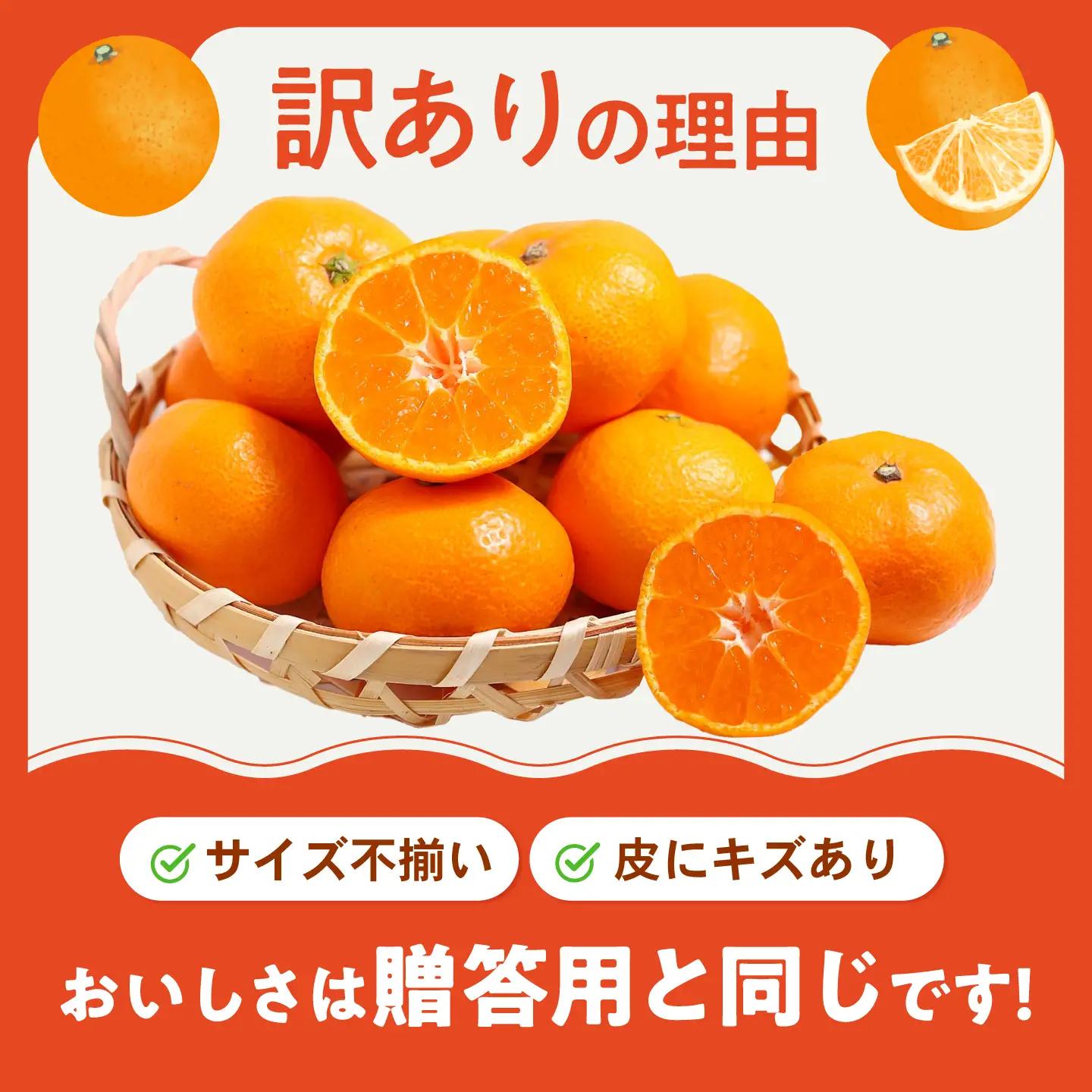 みかん 訳あり はれひめ 約5kg サイズ不揃い【12月上旬から翌年1月上旬まで順次発送】 / フルーツ 果物 蜜柑 ミカン オレンジ 訳あり 訳アリ 小玉 甘い 先行予約 5kg 愛媛 / 愛媛県砥