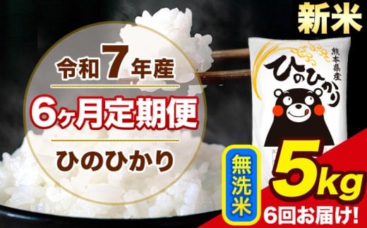 新米 令和7年産 【6ヶ月定期便】 ひのひかり 無洗米 5kg 5kg×1袋 計6回お届け 熊本県産 こめ コメ 無洗米 精米 荒尾市 ひの 米 定期 《お申込み月の翌月から出荷開始》