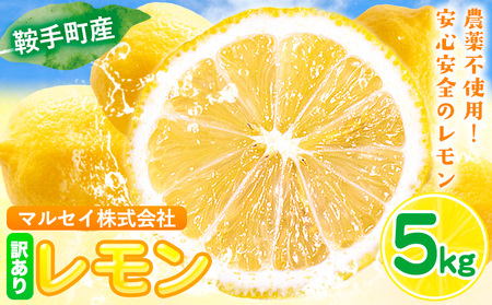 レモン 訳あり 5kg マルセイ株式会社《11月上旬-1月末頃出荷》