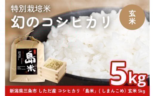 新米 新潟県特別栽培米 コシヒカリ5kg 玄米「島米(しまんこめ)」三条市 下田 令和7年産 コシヒカリ  [農事組合法人島川原]【015S197】