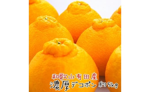 
            和歌山有田の濃厚デコポン 15～24玉 約5kg［先行予約］［MS78w］
          
