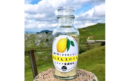 高原からの贈り物 まんてんスパイス 瀬戸内しまなみレモン（2種） 70g×2個 計140g  万能調味料 調味料 セット シチリア風 ベトナム風 スパイス  国産 瀬戸内 愛媛県 【えひめの町（超）推