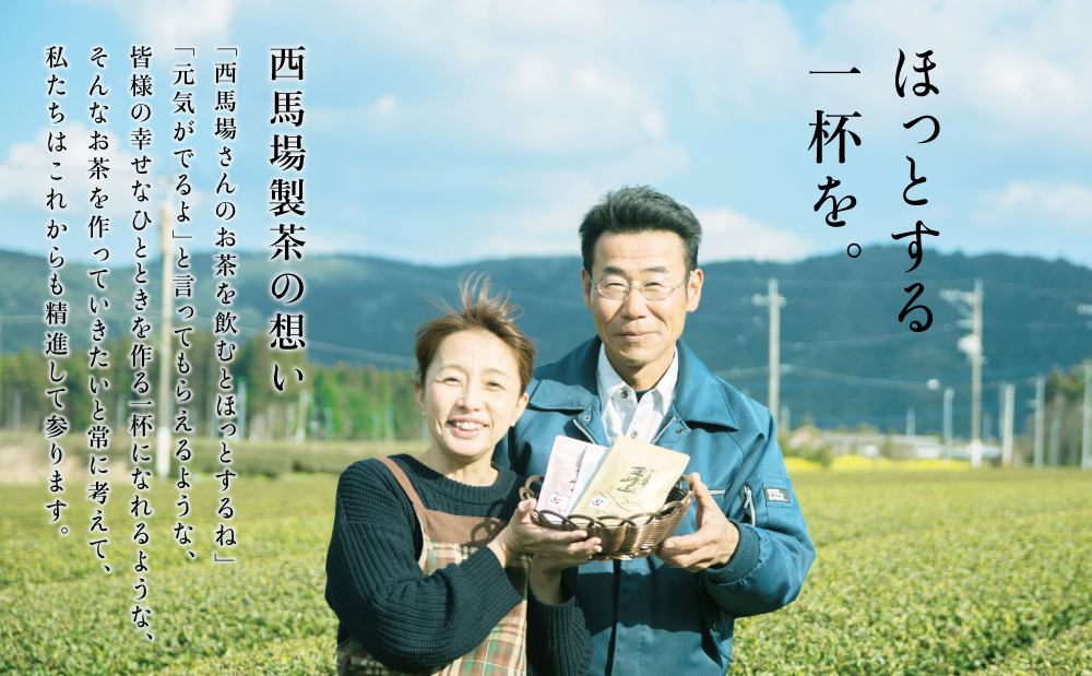 【新茶】＜5月から出荷開始＞鹿児島茶「金峰山 白銀」粉末緑茶＆ティーパックセット 贈答用 ギフト 贈答 鹿児島県産 かごしま お茶 冷茶 水出し ティーバッグ 日本茶 緑茶 茶葉 南さつま市