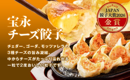 【定期便・全6回 毎月】【JAPAN餃子大賞2026（TM） 通販餃子 金賞受賞】手包み餃子 ぎょうざの宝永 チーズ餃子30個セット（チーズ餃子15個入×2袋）　T004-T08-02-04