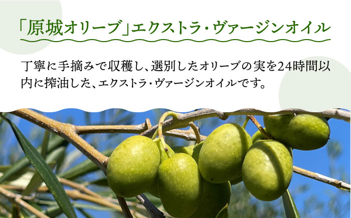 【2024年11月〜発送】原城オリーブ エクストラヴァージン オイル 100ml 2本 / 調味料 油 オリーブオイル オリーブ / 南島原市 / ミナサポ [SCW026]