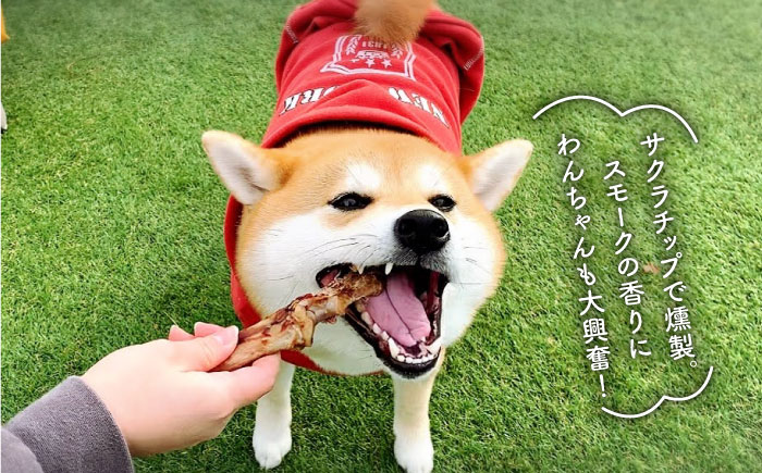中型犬向け☆天然いのししのスモーク骨ガム4本【わんこin食堂】 [FCG054]