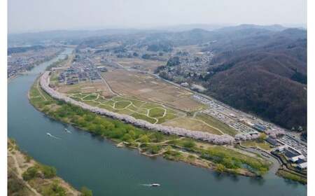  展勝地レストハウス お食事 利用券 9,000円分 (500円券 × 18枚) 岩手県 北上市 N0075 展勝地レストハウス 展勝地 食堂 食事券 クーポン チケット