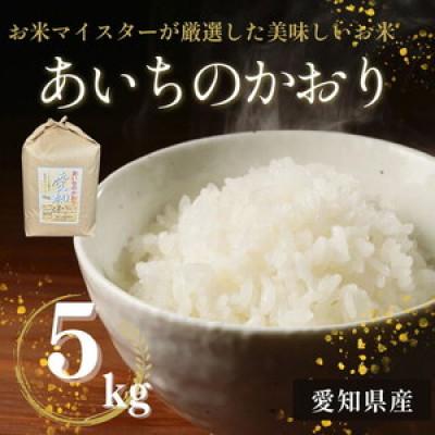 ふるさと納税 美浜町 愛知県産 あいちのかおり 5kg 愛知県 美浜町