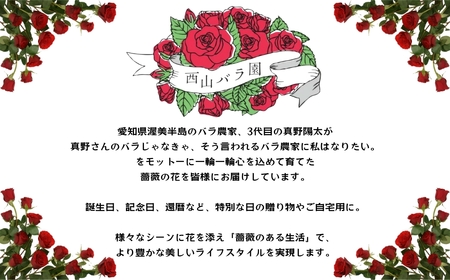 バラ 花束 20本  おまかせ ラッピング有 花 薔薇  生花 愛知県 田原市