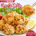 【ふるさと納税】はかた地どり から揚げ 170g × 6パック 計 1020g 福岡県産 地鶏 手間なし 電子レンジ 簡単 調理 おかず おつまみ 鶏肉 肉 加工品 食品 冷凍 グルメ お取り寄せ お取り寄せグルメ 福岡県 久留米市 送料無料