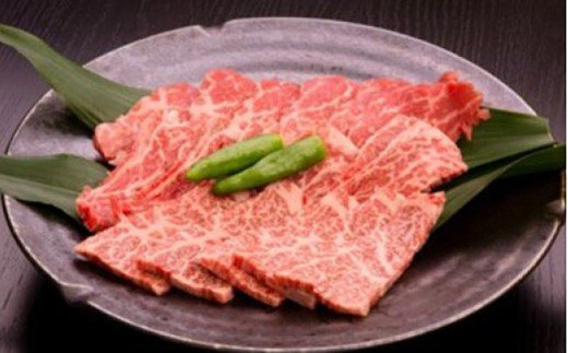 
【いしかわ牛】焼肉用 約250g＜先行予約2025年1月下旬頃より発送＞【0500701】
