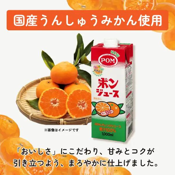 ジュース POM ポンジュース 1000ml 6本セット みかん