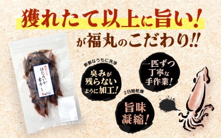 産地直送！ ホタルイカ 素干し 約250g（50g × 5パック）網元漁師が厳選！ 便利な小分け袋 【福井県 おつまみ 冷蔵】 [e15-a017]