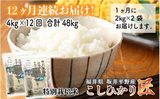 【令和7年産】【12ヶ月連続お届け】 ワンランク上の特別栽培米 コシヒカリ匠 4㎏ ×12回 計48kg（玄米） 栽培期間中農薬不使用 / コシヒカリ こしひかり 白米 お米 [O-2901_02]