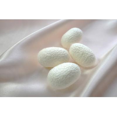 ふるさと納税 泉大津市 天然の美容繊維　シルク95%スムース腹巻き　フリーサイズ　ベージュ　H-H2500 |  | 03