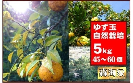 ゆず玉　5kgセット　期間限定 柑橘 ジューシー 自然栽培 国産 柚子　S165