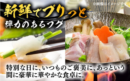 ★白子たっぷり★国産活本ふぐ（トラフグ）堪能コース 《もり多》【豊前市】 とらふぐ ふぐ コース [VAF037]