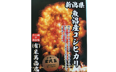 K38P305 ＜令和6年産＞魚沼産コシヒカリ定期便 5kg×3回（毎月お届け）【(有)米萬商店】世界一の四尺玉の町片貝町 白米 魚沼 米 定期便