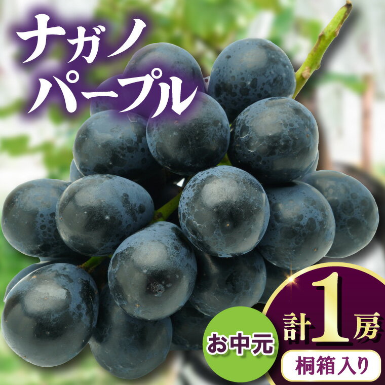 【ふるさと納税】お中元桐箱入りナガノパープル1房　県内共通返礼品:かすみがうら市産【配送不可地域：離島・沖縄県】 (BR170)