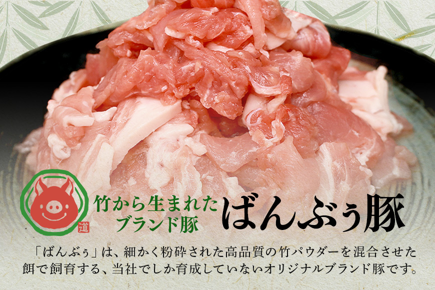 ブランド豚「ばんぶぅ」小分け 切り落とし 1kg（500g×2パック） 冷凍便 1キロ 大容量 たっぷり 豚肉 豚切り落とし 豚切落し 豚こま切れ 豚小間切れ 豚細切れ 豚こまぎれ ぶた肉 ブタ肉 国
