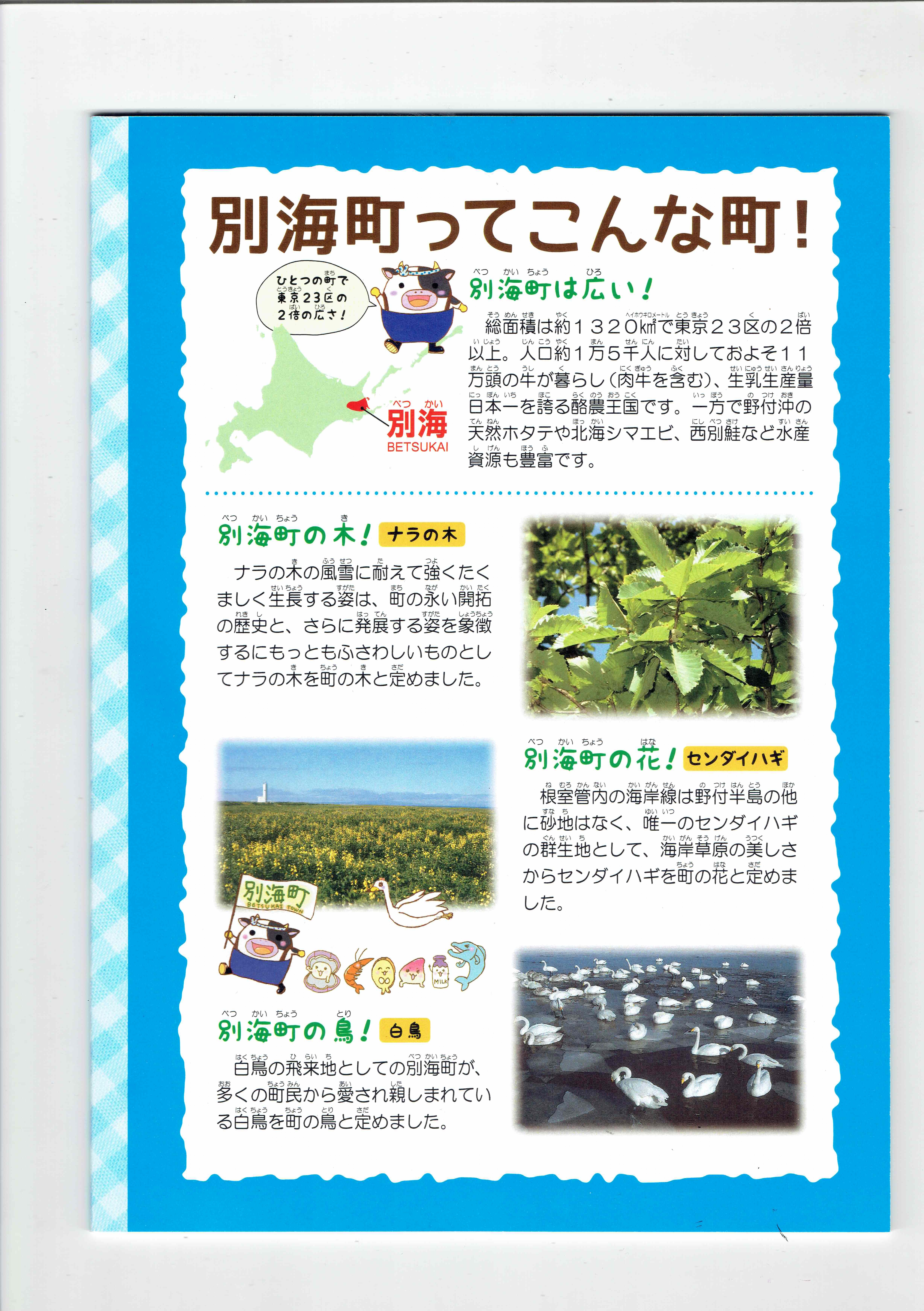 【 1000円 ポッキリ 】ご当地キャラりょウシくん自学帳【be045-001y001】_イメージ4
