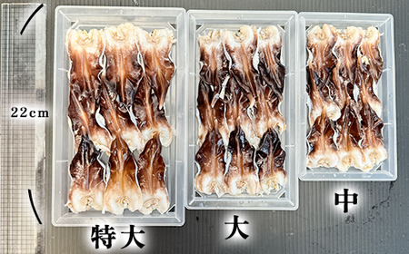 とり貝お刺身 訳あり (大9枚入り) 2セット トリ貝 刺し身 岬だより
