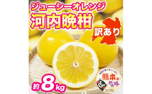 先行予約 訳あり 河内晩柑 ジューシーオレンジ みかん 約8kg【2027年3月上旬～4月中旬発送予定】かわちばんかん 果物 フルーツ くだもの 柑橘 柑橘類 フルーツ 国産 熊本 熊本県 九州 産地直送 日本フルーツ
