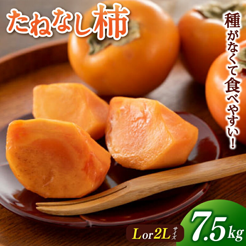 【ふるさと納税】たねなし 柿 約7.5kg【選べるサイズ】Lサイズ または 2Lサイズ 【2025年9月下旬～10月下旬に順次発送致します。】《 レビューキャンペーン 実施中 ! 》【先行予約】【JAわかやま】 / 種なし 種無し タネなし 柿 かき カキ フルーツ 果物 人気 旬