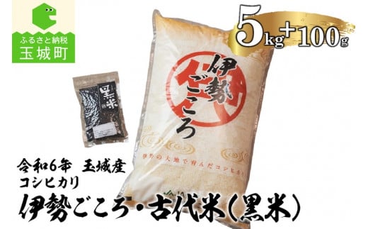 令和6年玉城産コシヒカリ「伊勢ごころ」5kgと古代米(黒米)セット