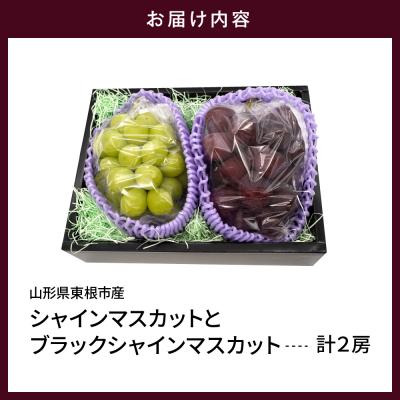 ふるさと納税 東根市 【2026年産】シャインマスカットと「富士の輝」の詰め合わせ約1.2kg hi074-017 |  | 01